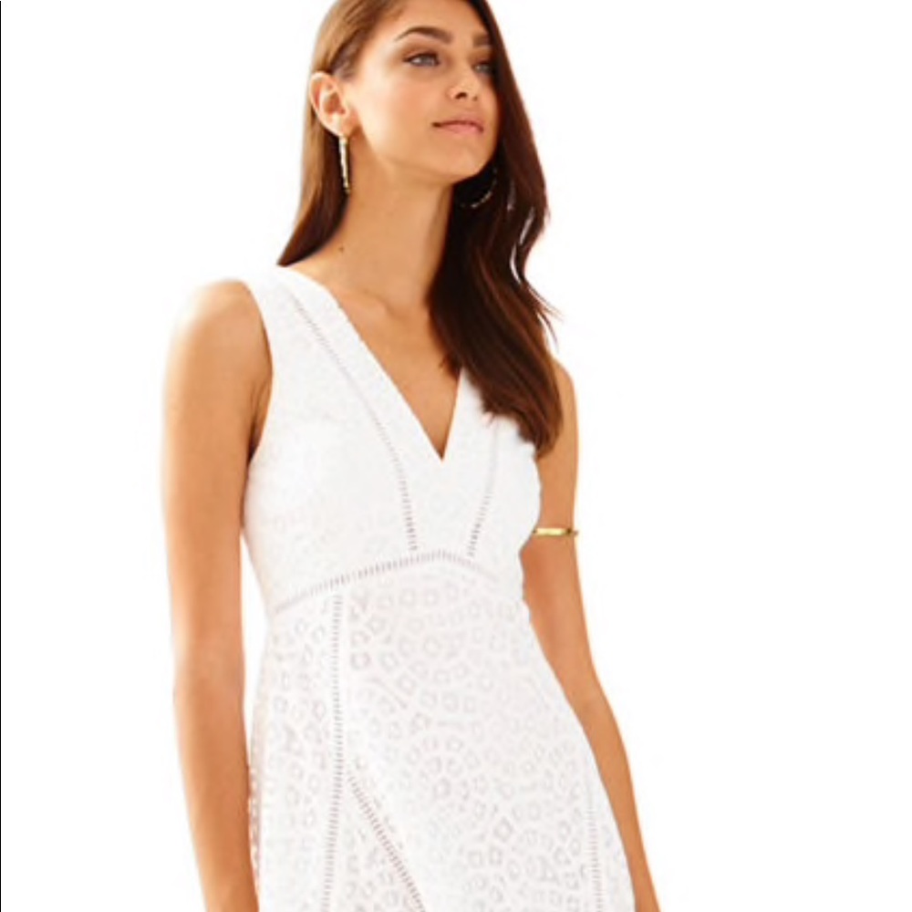 NWT Lilly Pulitzer Elyse Dress Size 2